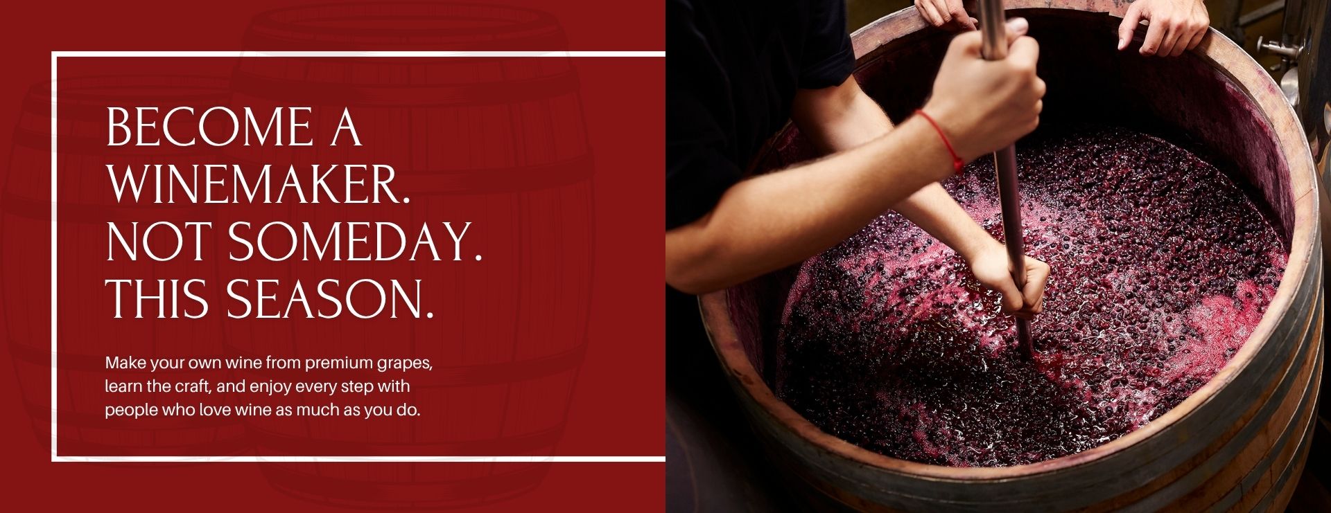 Winemakers of Somerset