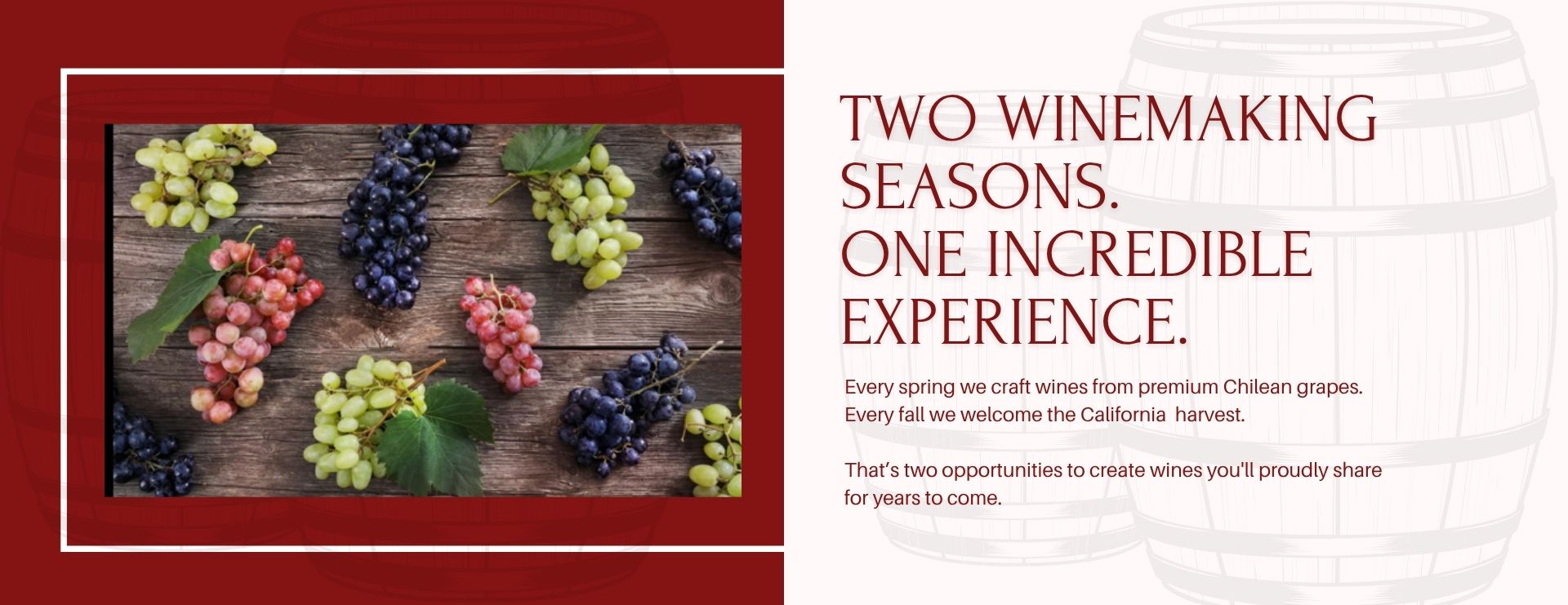 Winemakers of Somerset